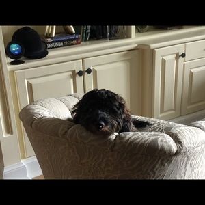 Meet your Posher, Sandra